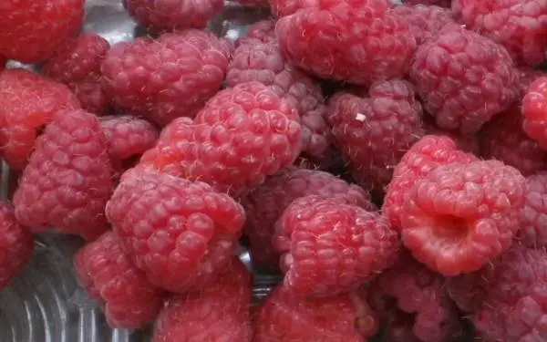 Raspberry Eurasia