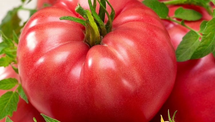 Raspberry giant tomato: reviews, yield