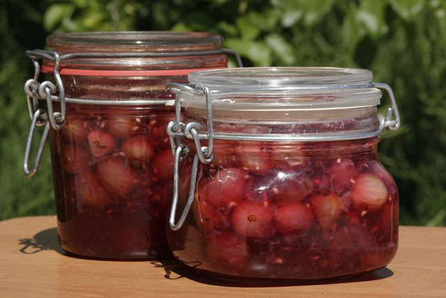 Raspberry jam in a slow cooker Redmond, Polaris