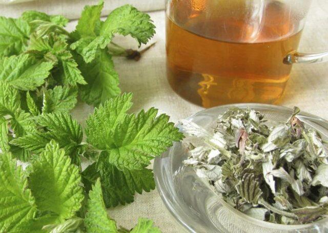 Raspberry leaves: medicinal properties and contraindications, in gynecology, what they are used for