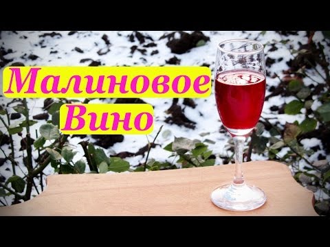 Raspberry wine at home: recipe