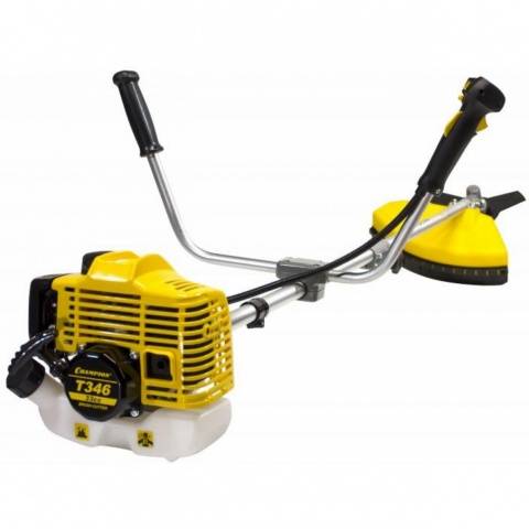 Rating of the best models of lawn mowers