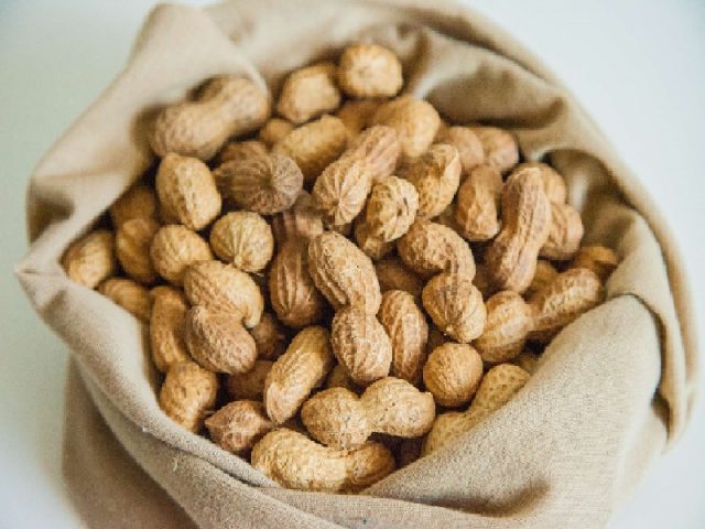 Raw peanuts: benefits and harms