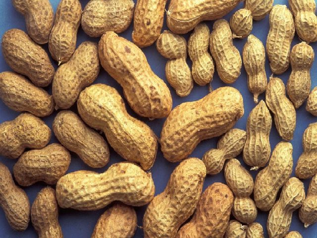 Raw peanuts: benefits and harms