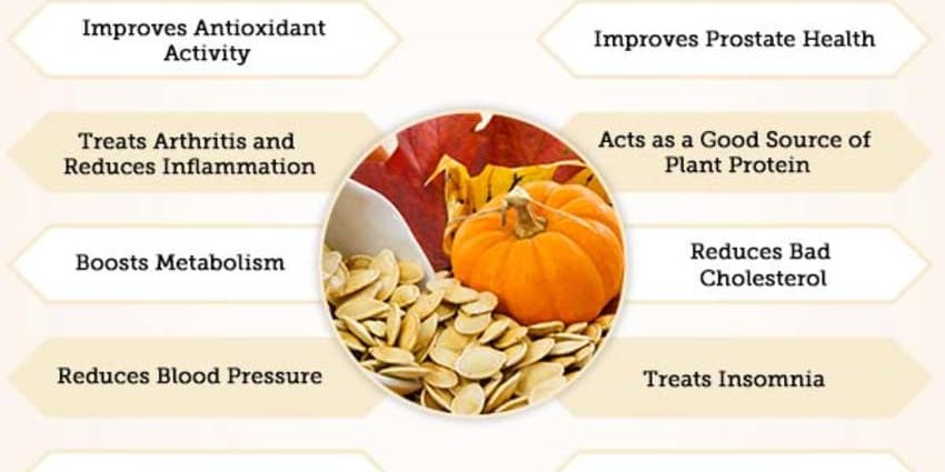 Raw pumpkin: benefits and harms to the human body