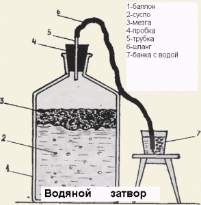 Recipe for homemade apple wine with a glove 