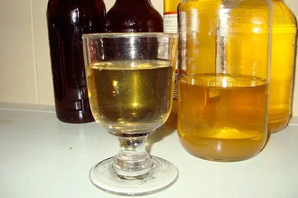 Recipe for homemade apple wine with a glove 