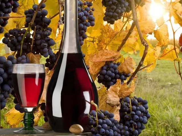 Recipe for homemade grape wine + photo