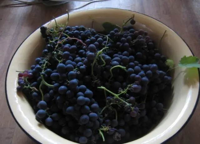 Recipe for homemade grape wine + photo