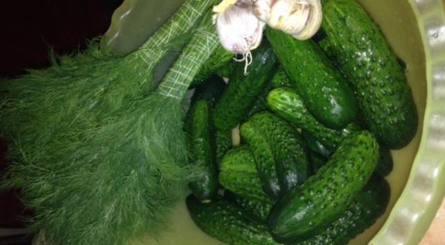 Recipe for lightly salted cucumbers on mineral water