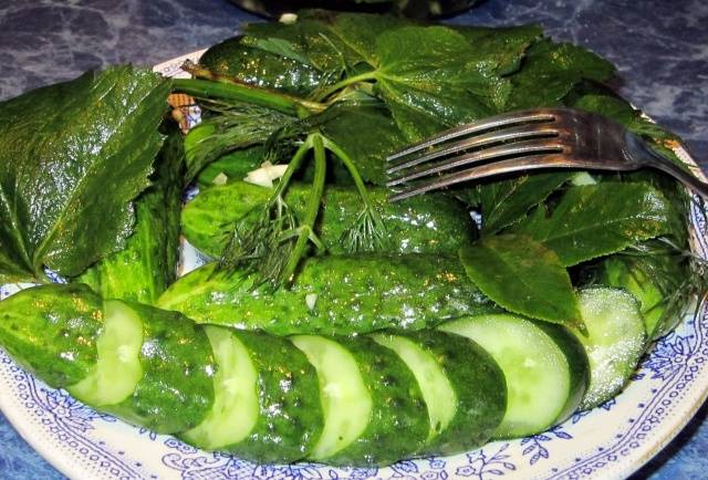 Recipe for lightly salted cucumbers on mineral water