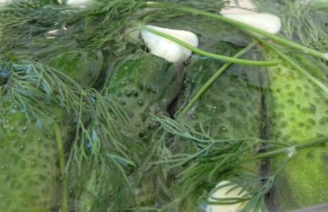 Recipe for lightly salted cucumbers on mineral water