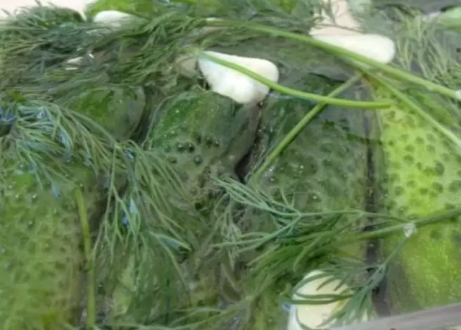 Recipe for lightly salted cucumbers on mineral water