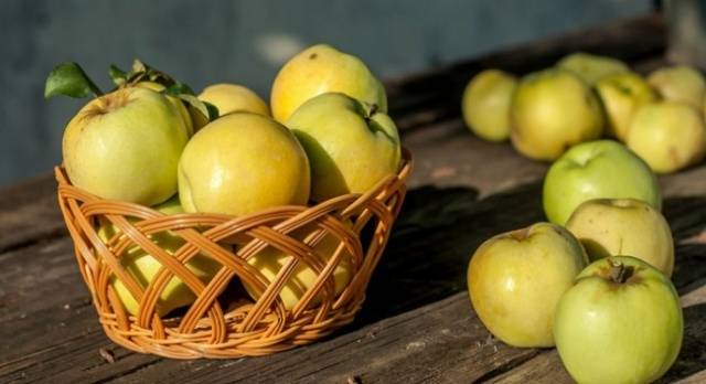 Recipe for pickled apples for the winter 