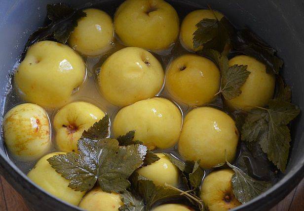 Recipe for pickled apples for the winter 