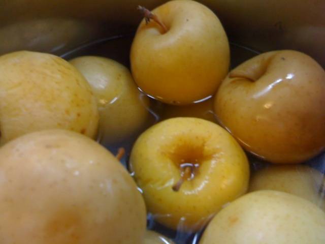 Recipe for pickled apples for the winter in a bucket 