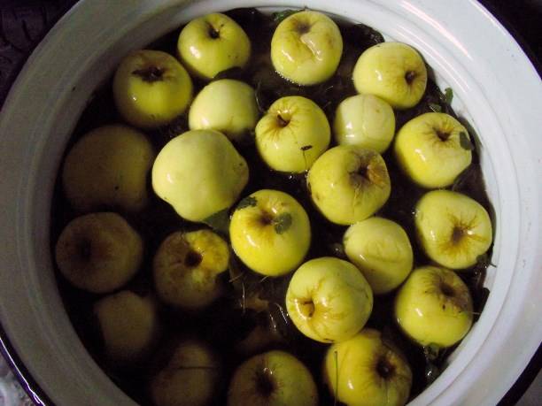 Recipe for pickled apples for the winter in a bucket 