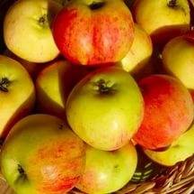 Recipe for pickled apples with cabbage