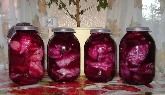 Recipe for salting cabbage in a jar for the winter