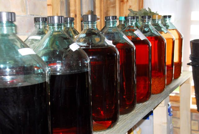 Recipe for tincture, liquor, moonshine and blueberry liqueur