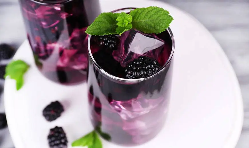 Recipe for tincture, liquor, moonshine and blueberry liqueur