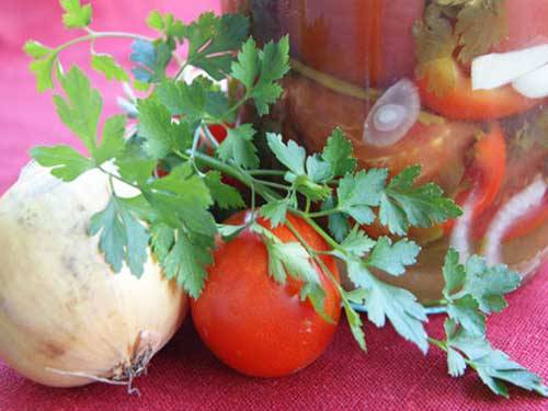 Recipe for tomatoes with parsley for the winter 