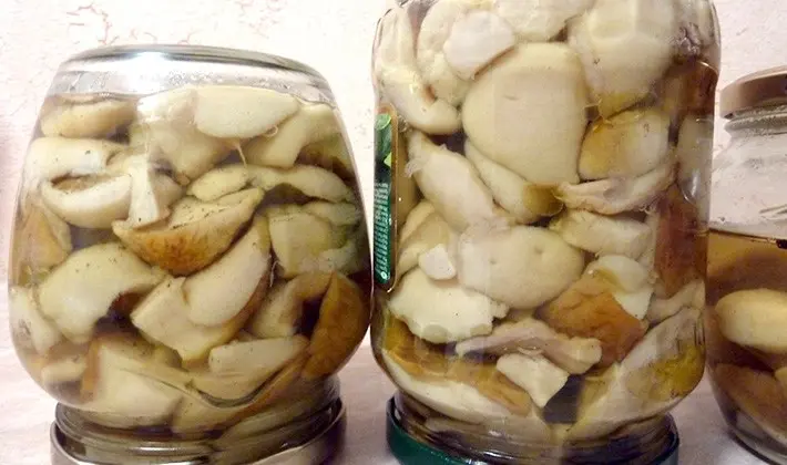 Recipes and methods for preparing porcini mushrooms for the winter