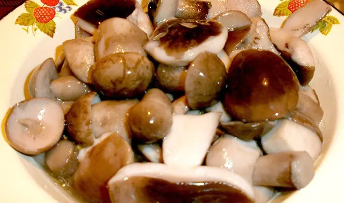 Recipes and methods for preparing porcini mushrooms for the winter