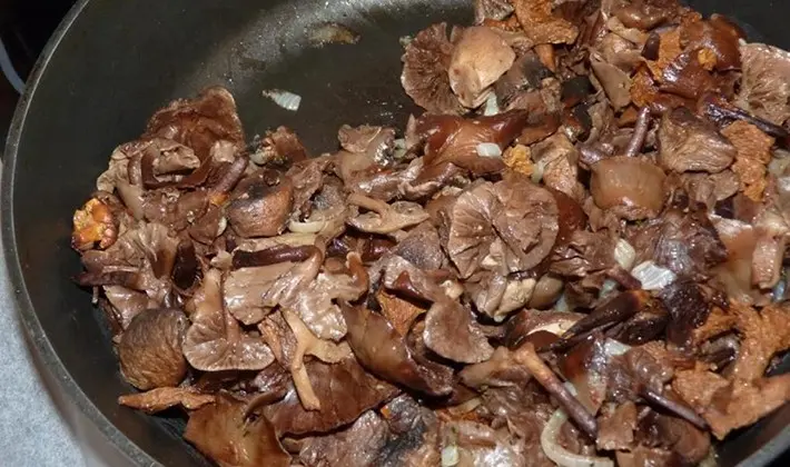 Recipes and methods of cooking porcini mushroom