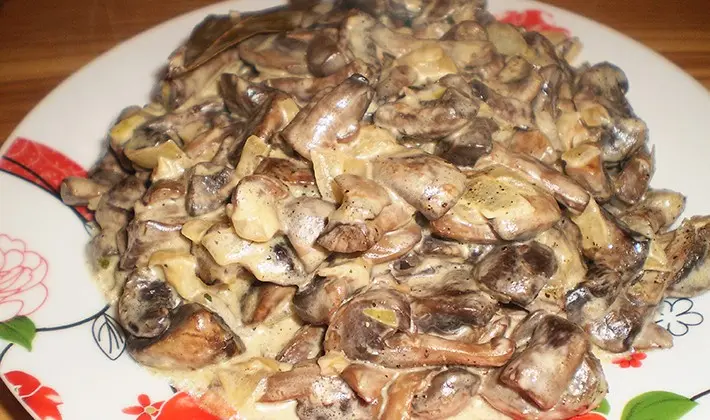 Recipes and methods of cooking porcini mushroom