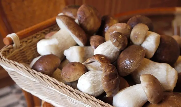 Recipes and methods of cooking porcini mushroom