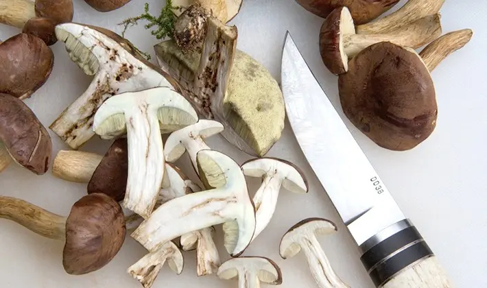 Recipes and methods of cooking porcini mushroom