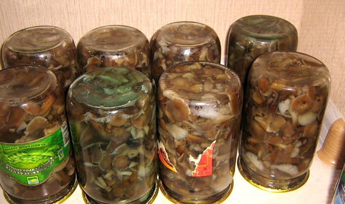 Recipes for canning milk mushrooms at home