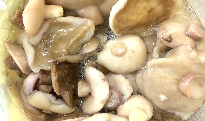 Recipes for canning milk mushrooms at home