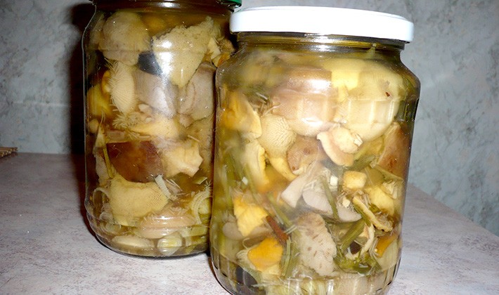 Recipes for canning milk mushrooms at home