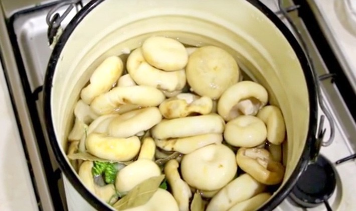 Recipes for canning milk mushrooms at home