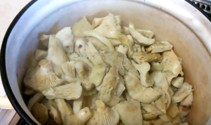 Recipes for canning milk mushrooms at home