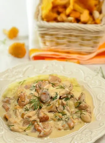Recipes for chicken with chanterelles in the oven and slow cooker