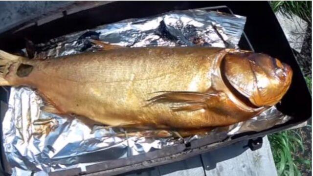 Recipes for cold and hot smoking silver carp