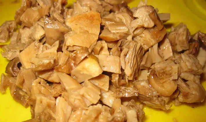 Recipes for cooking chicken with porcini mushrooms