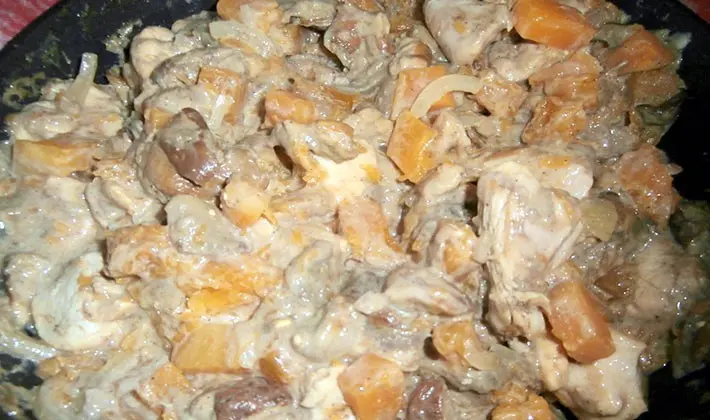 Recipes for cooking chicken with porcini mushrooms