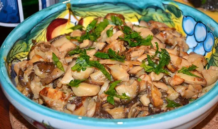 Recipes for cooking chicken with porcini mushrooms