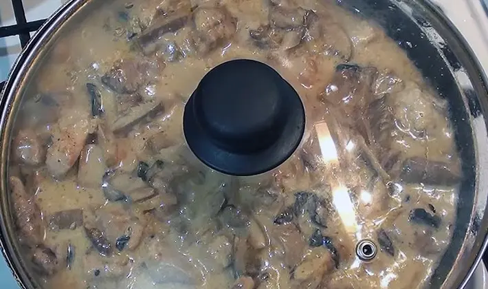 Recipes for cooking meat with mushrooms in sauce