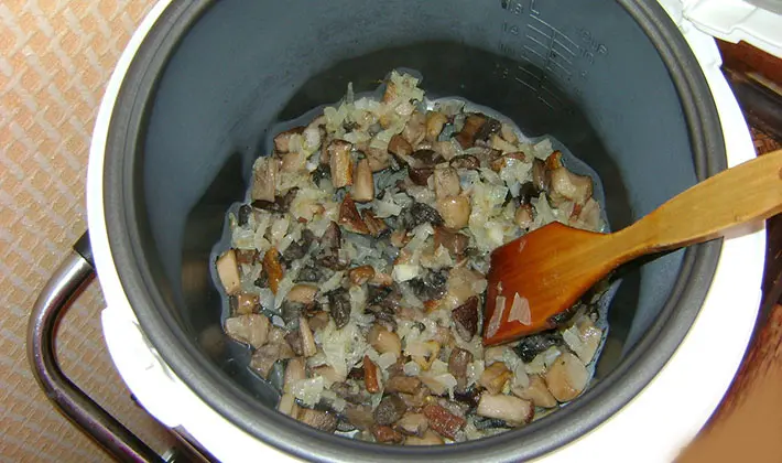 Recipes for cooking porcini mushrooms in a slow cooker