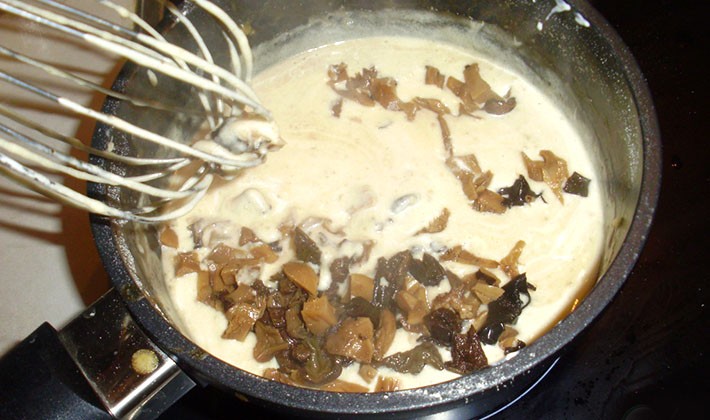 Recipes for cooking porcini mushrooms in a slow cooker