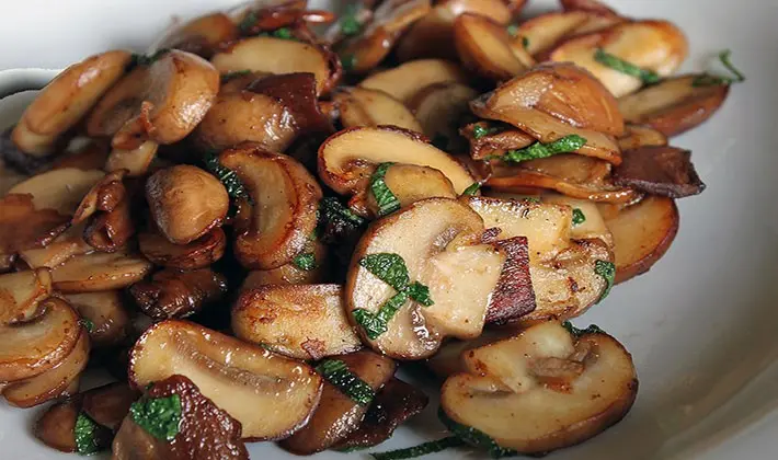 Recipes for cooking porcini mushrooms in a slow cooker