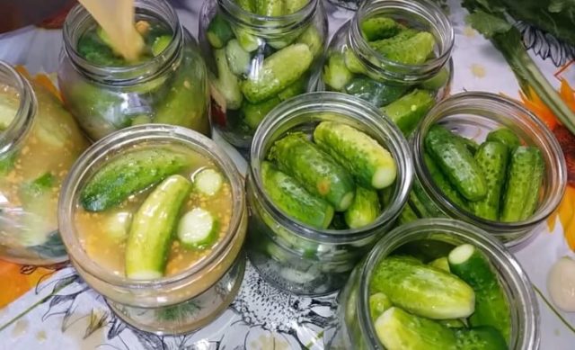 Recipes for cucumbers in mustard filling for the winter: pickled, salted