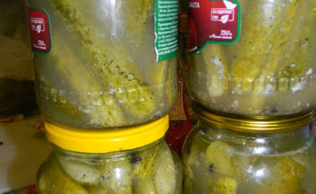 Recipes for cucumbers in mustard filling for the winter: pickled, salted