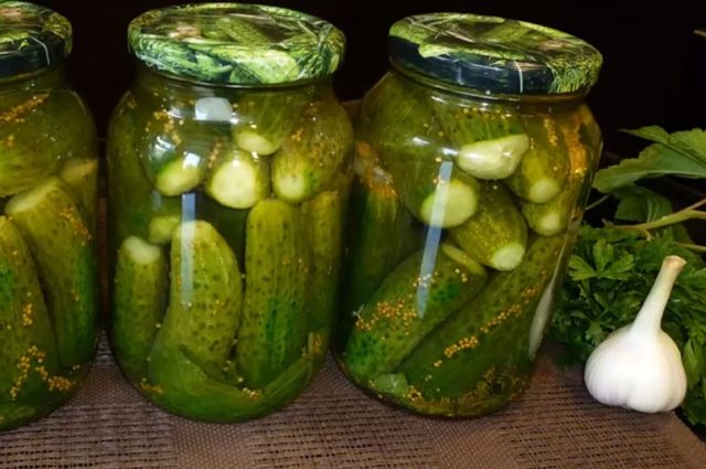 Recipes for cucumbers in mustard filling for the winter: pickled, salted