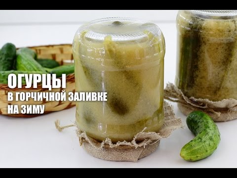 Recipes for cucumbers in mustard filling for the winter: pickled, salted